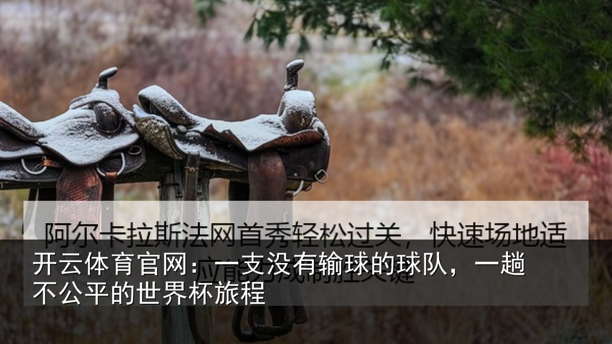 开云体育官网:一支没有输球的球队,一趟不公平的世界杯旅程